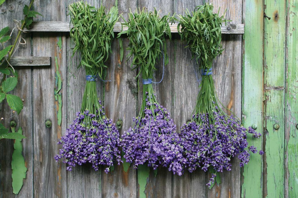 Lavender, Rosemary & Thyme  A Must for Every Garden - You Make It