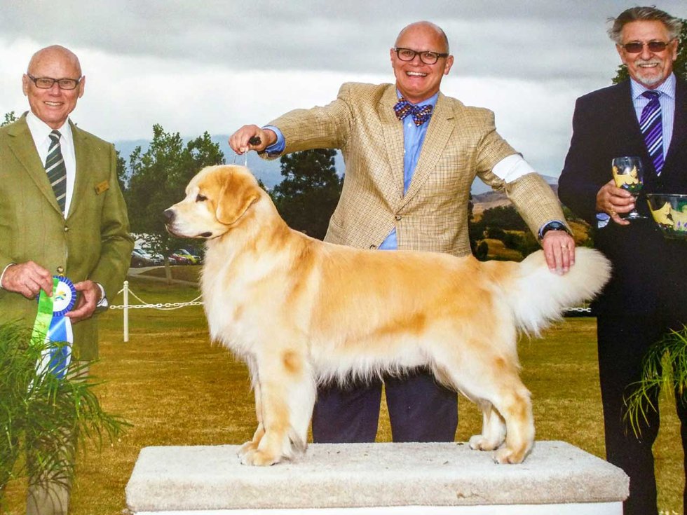 IMG_20170412_180857-Michael-Faulkner-showing-Wilson-to-a-big-win-at-the-Golden-Retriever-Club-of-Greater-Los-Angeles-Specialty.jpg